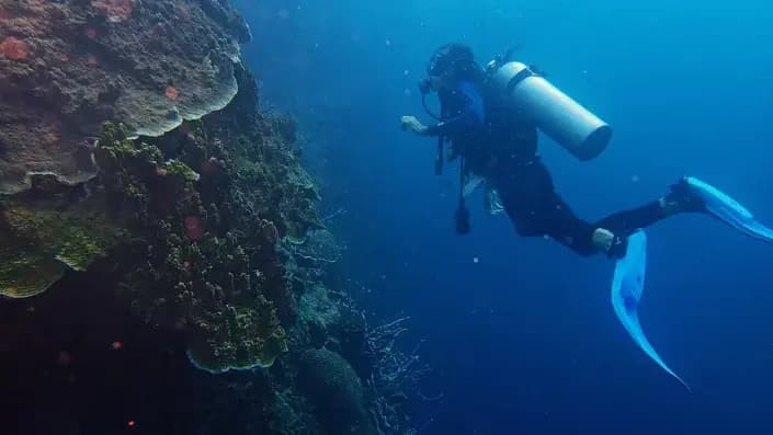 snorkeling à Nosy Be